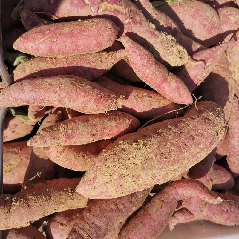 广西优质红薯，西瓜红红薯品质好口感甜，价钱美丽