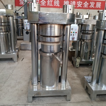 全自动立式液压榨油机油坊用芝麻核桃花椒籽榨油机