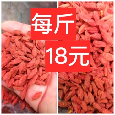 红枸杞～青海特产！果实饱满原色原味！