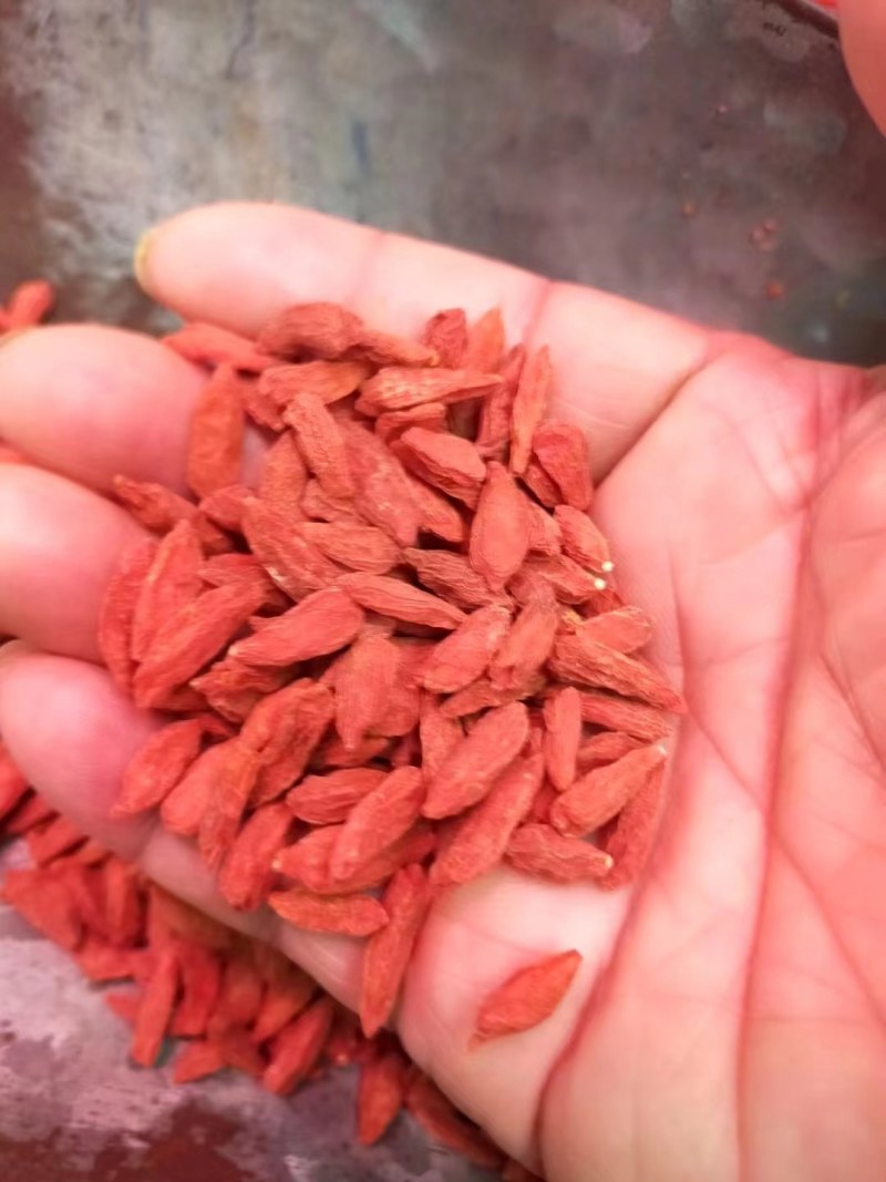 红枸杞～青海特产！果实饱满原色原味！