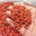 红枸杞～青海特产！果实饱满原色原味！