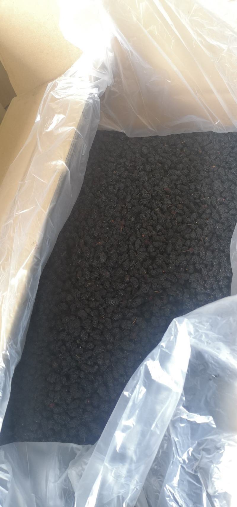 现有桑椹干五百公斤左右出售