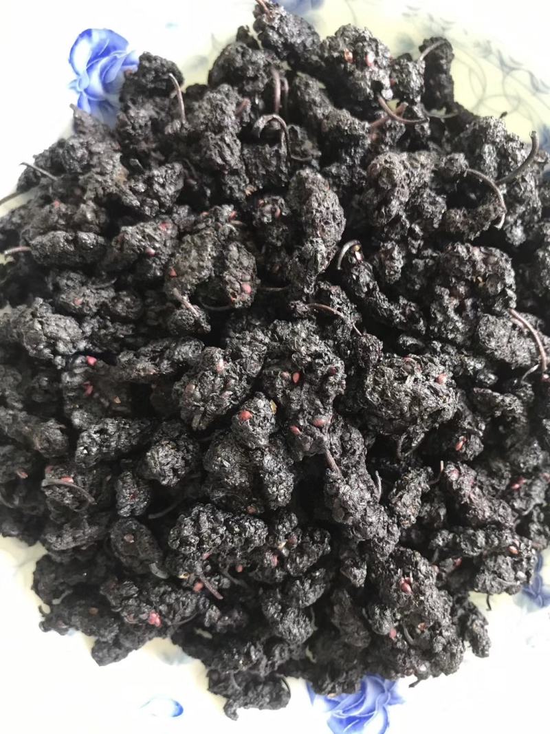 现有桑椹干五百公斤左右出售