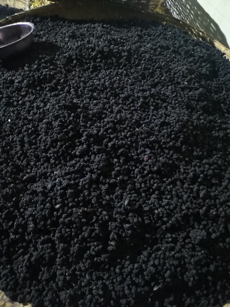 现有桑椹干五百公斤左右出售