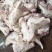 猪头——国产肥猪精品带耳白头——保质保量——每天生产