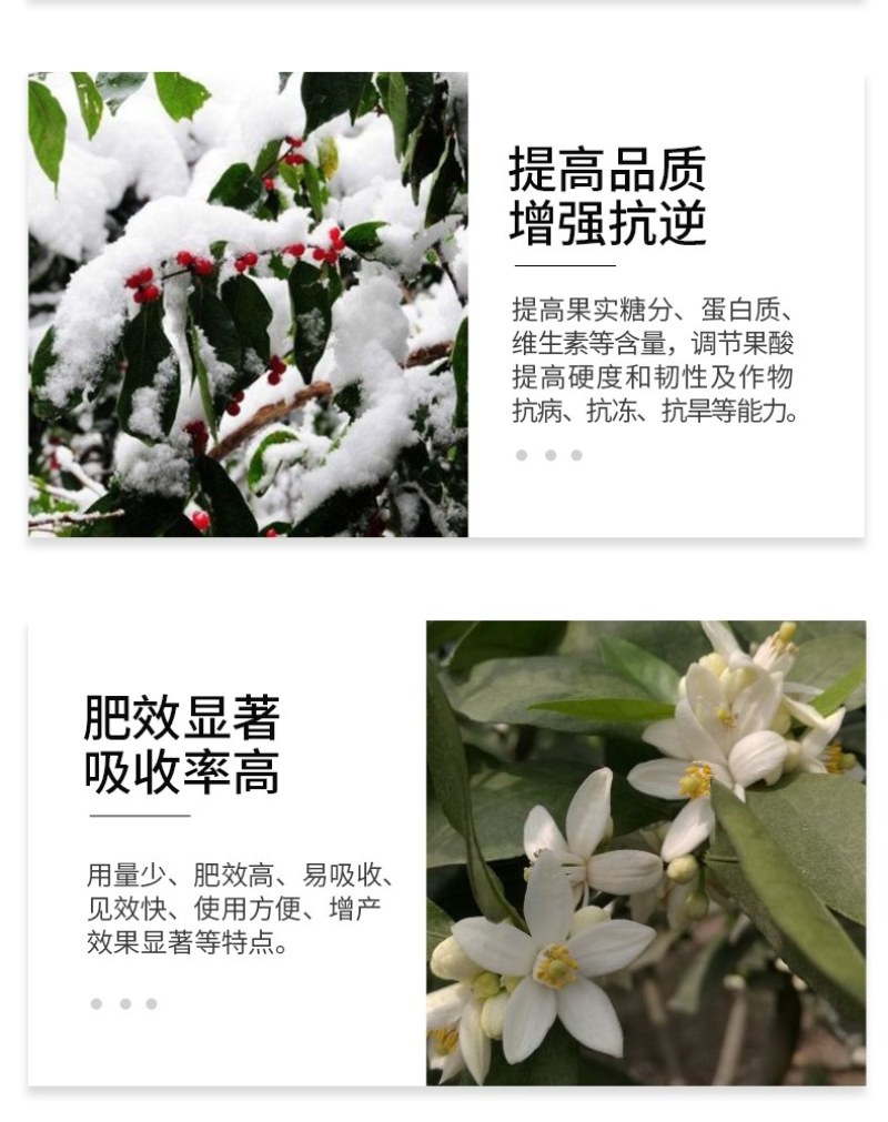【包邮】磷酸二氢钾促花保果高纯度99%极易吸收见效快