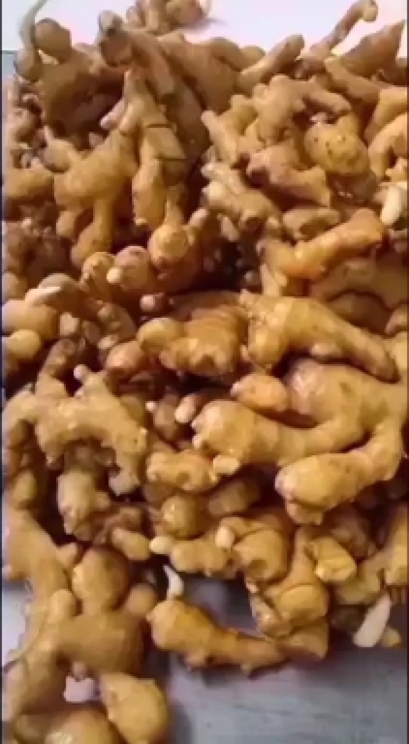 山东姜母产地直销货源充足随到随装车应有尽有价格合理