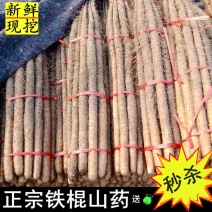 正宗铁棍山药特价5斤装小白嘴淮山药麻山药新鲜蔬菜多省包邮