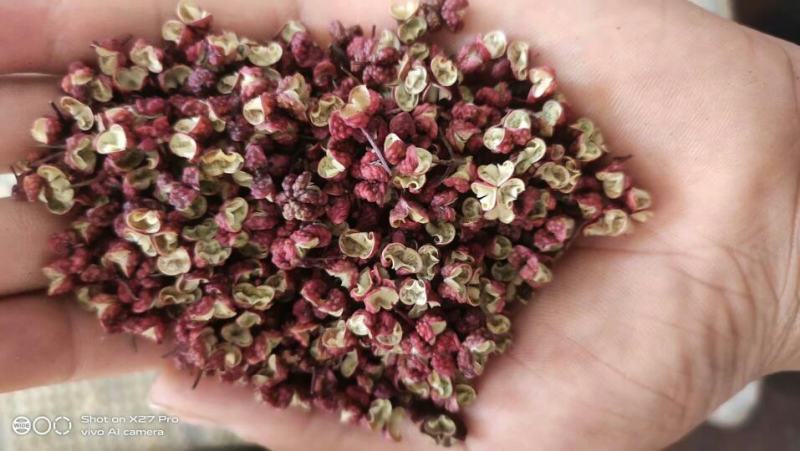 2022年新货大红袍花椒！颗粒大麻度高、饭店火锅店专用椒