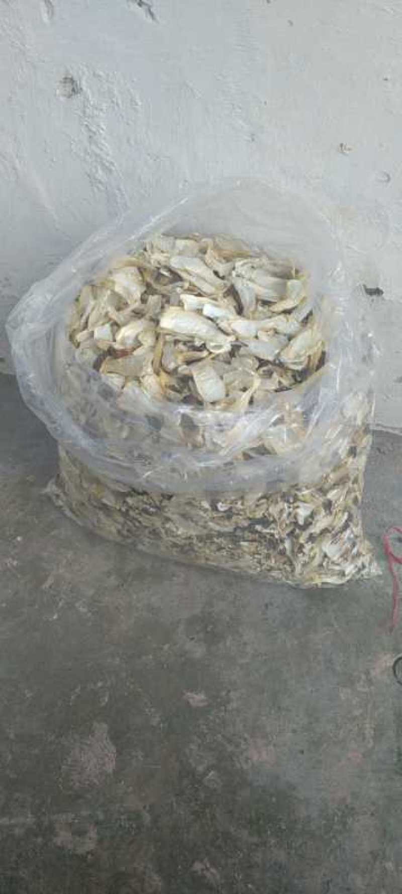 赤松茸优质干品，煲鸡煲猪脚脚味道好极了