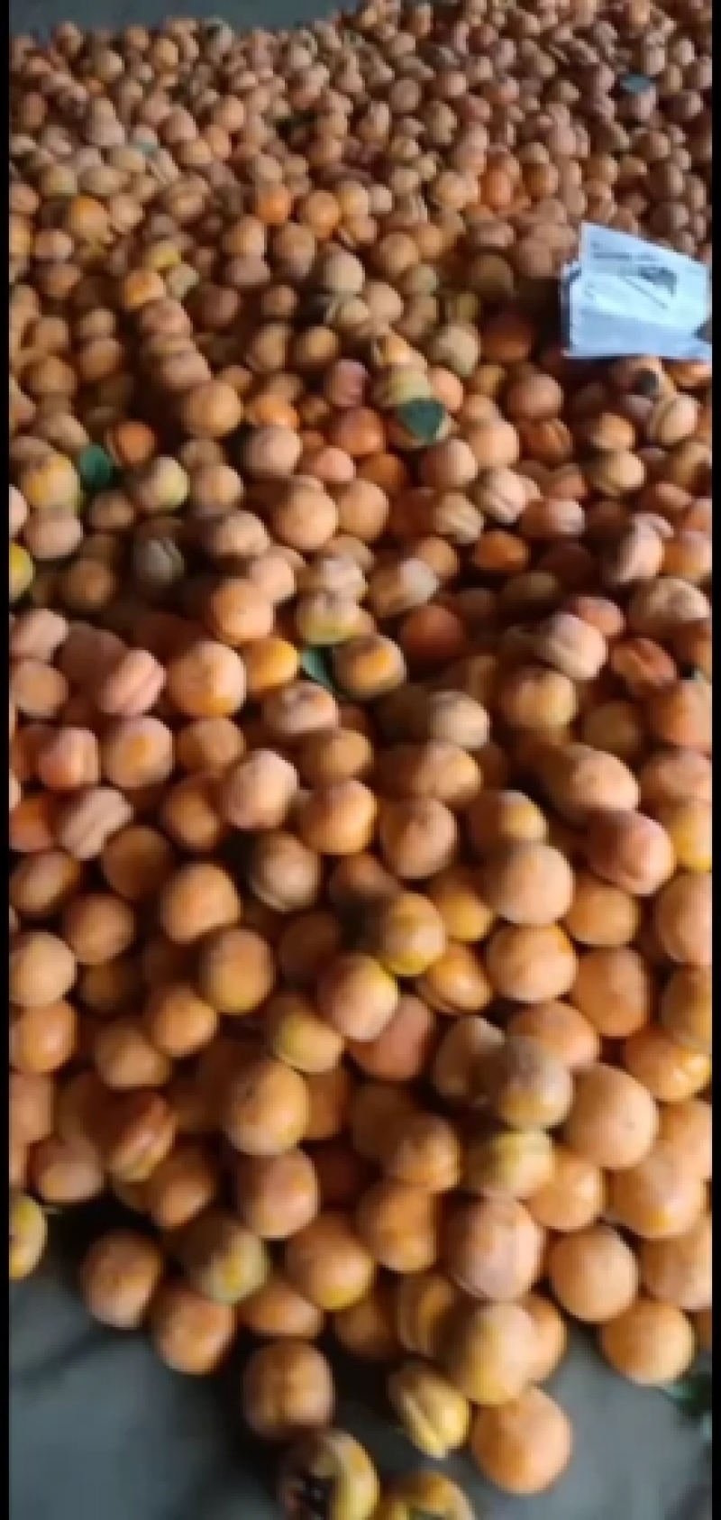 箱装柿子已装好箱子的柿子大量上市了，颜色鲜艳口感香甜，且