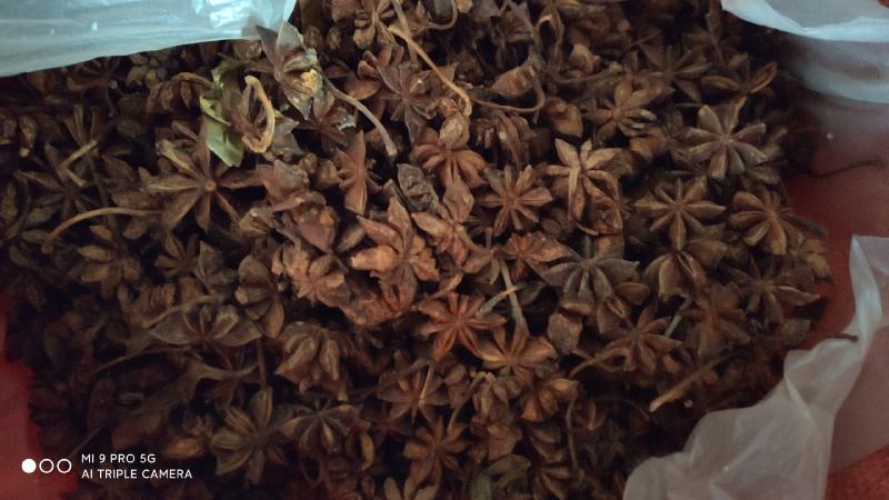 大红八角，八成半以上，过筛，无碎子片