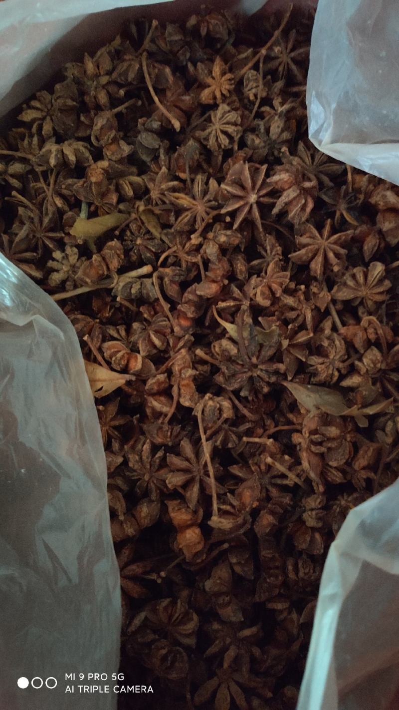 大红八角，八成半以上，过筛，无碎子片