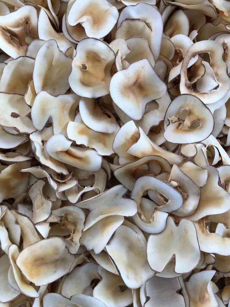 海底耶【包邮】三斤起发货可批量可零售量大从优