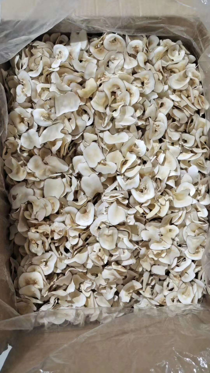 海底耶【包邮】三斤起发货可批量可零售量大从优