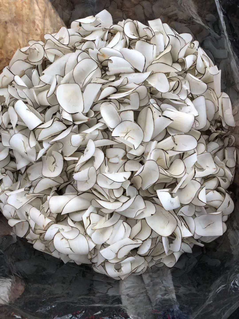 海底耶【包邮】三斤起发货可批量可零售量大从优