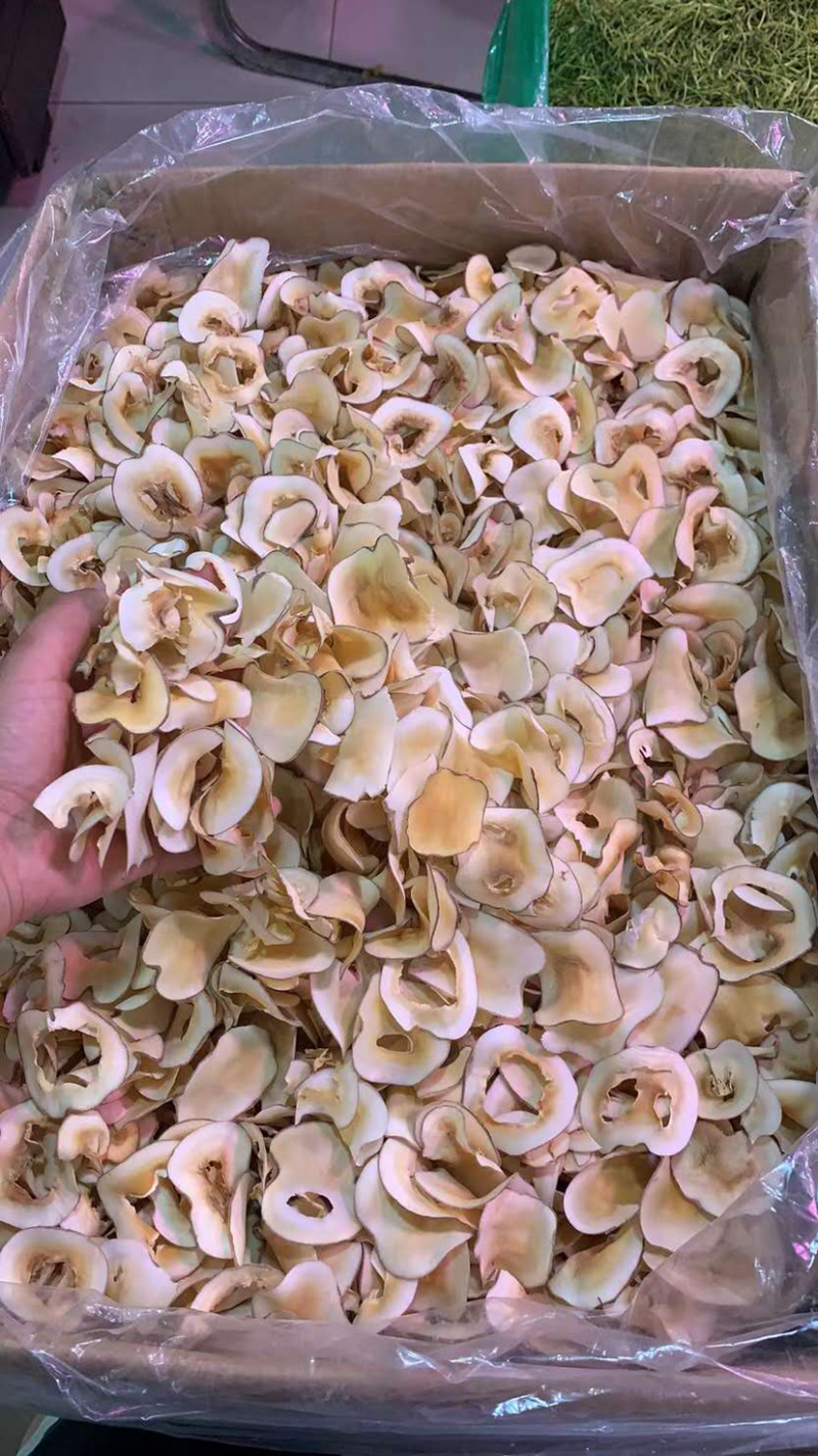 海底耶【包邮】三斤起发货可批量可零售量大从优