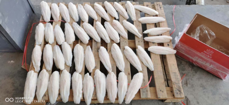 巴沙鱼柳新鲜冷冻巴沙鱼柳巴沙鱼片巴沙鱼