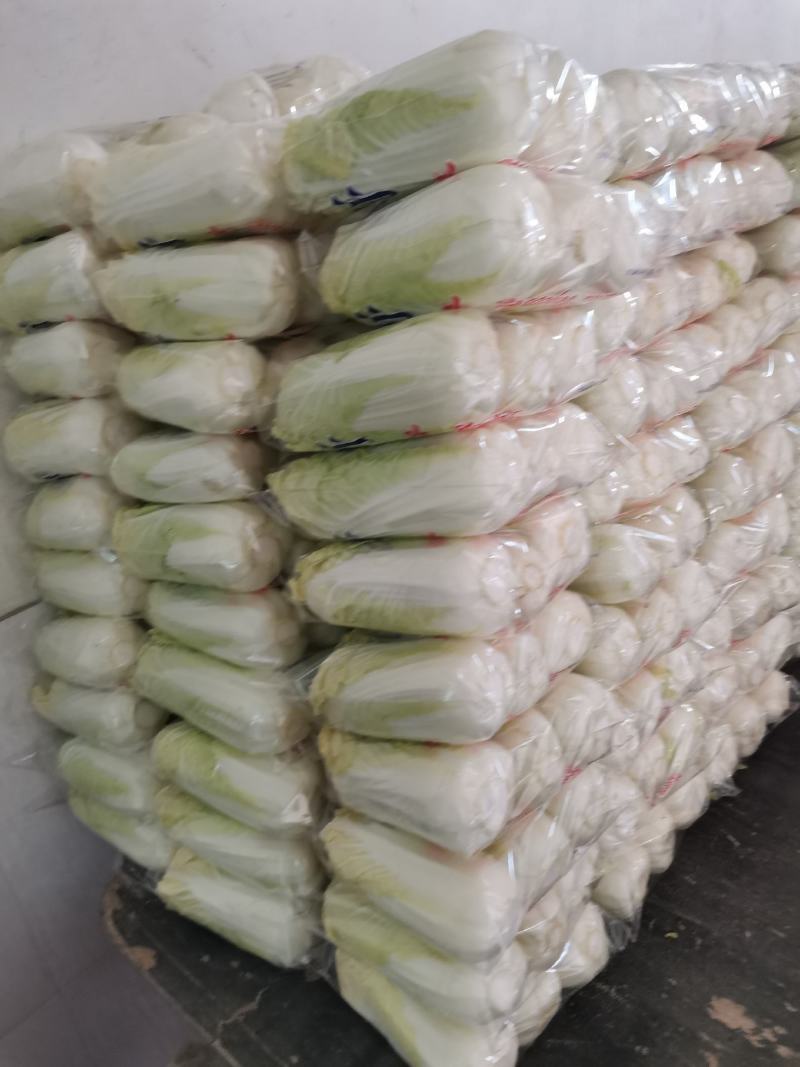 精品小娃娃菜、品质保证