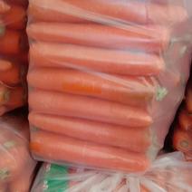 精品红萝卜，质量好量大，欢迎各位老板前来采购