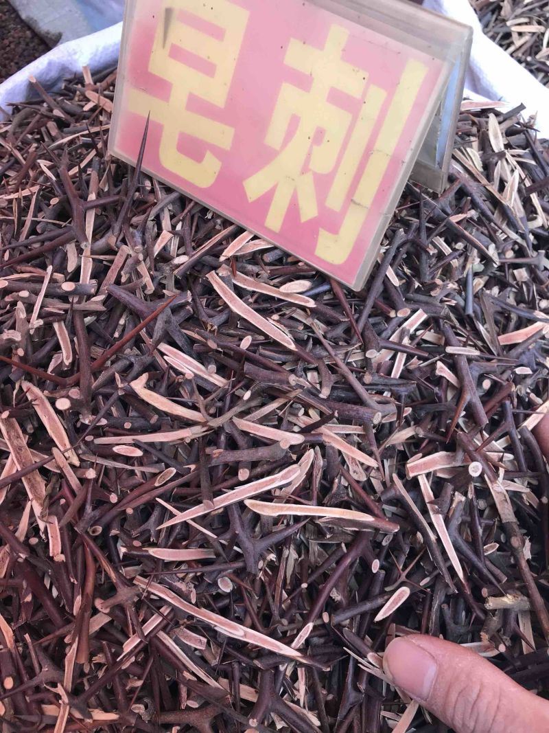 皂刺无硫皂刺干净无杂质规格齐全一手货源