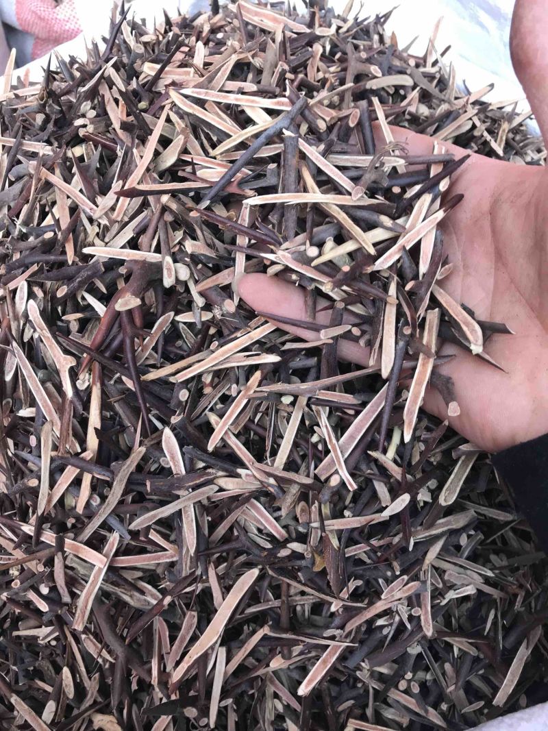 皂刺无硫皂刺干净无杂质规格齐全一手货源