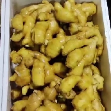 青州生姜。老黄姜，水洗大姜。电商平台。量大从优。欢迎电联