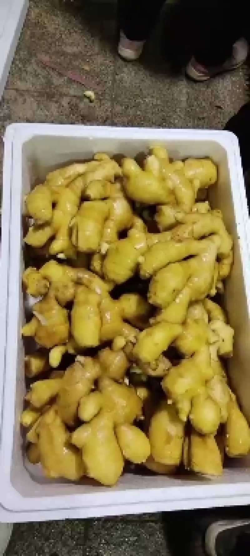青州生姜。老黄姜，水洗大姜。电商平台。量大从优。欢迎电联