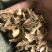 分心木野生核桃分心木无硫无熏
