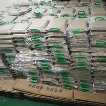 沂蒙山大山里的黑小米#两万斤左右低价出售，散货也真空包装