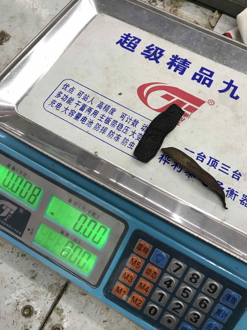 清水矾水水蛭蚂蝗产地直供一手货源