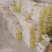 白金豆白玉豆白色豆子