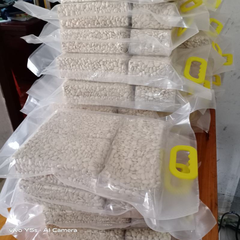 白金豆白玉豆白色豆子