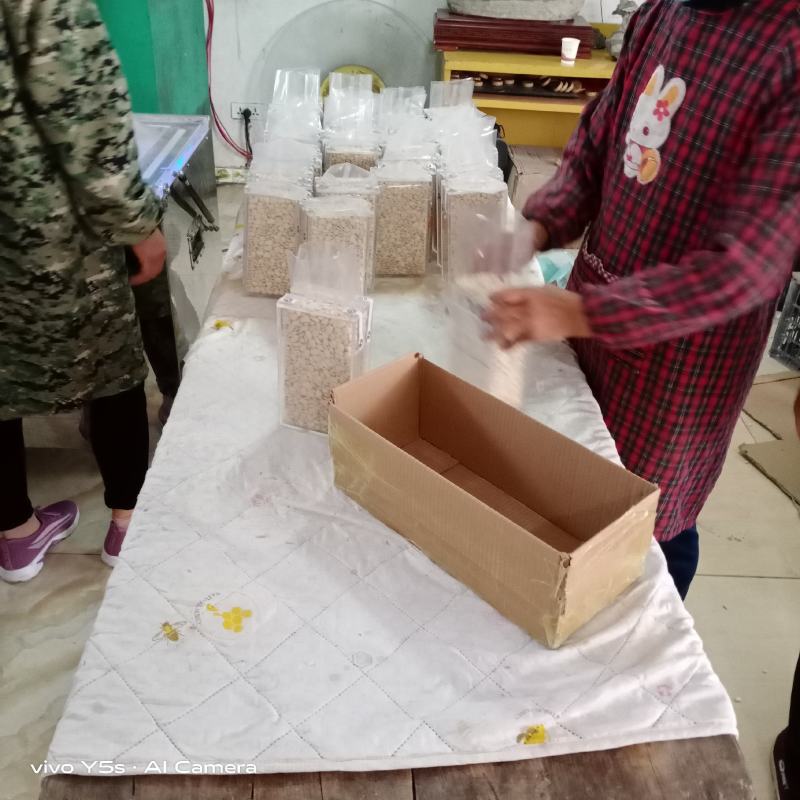 白金豆白玉豆白色豆子