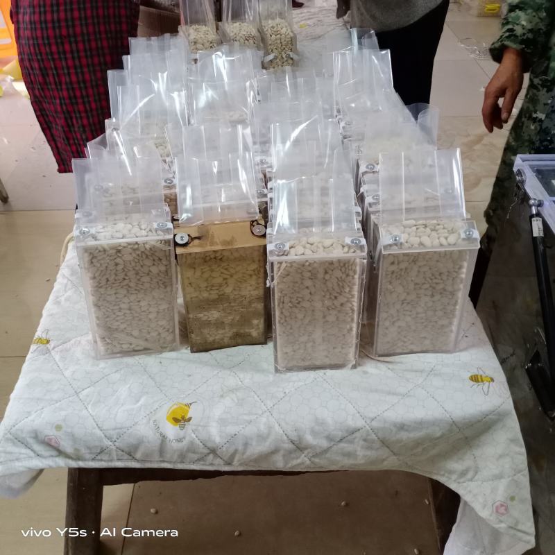 白金豆白玉豆白色豆子