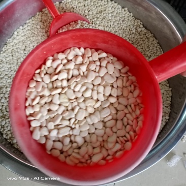 白金豆白玉豆白色豆子