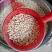 白金豆白玉豆白色豆子