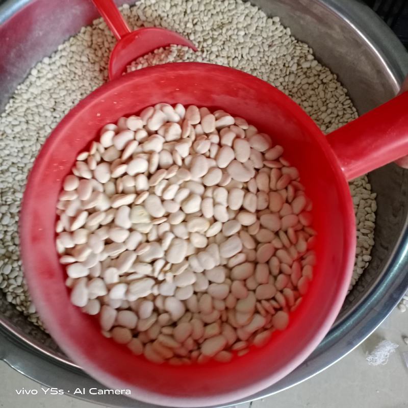 白金豆白玉豆白色豆子