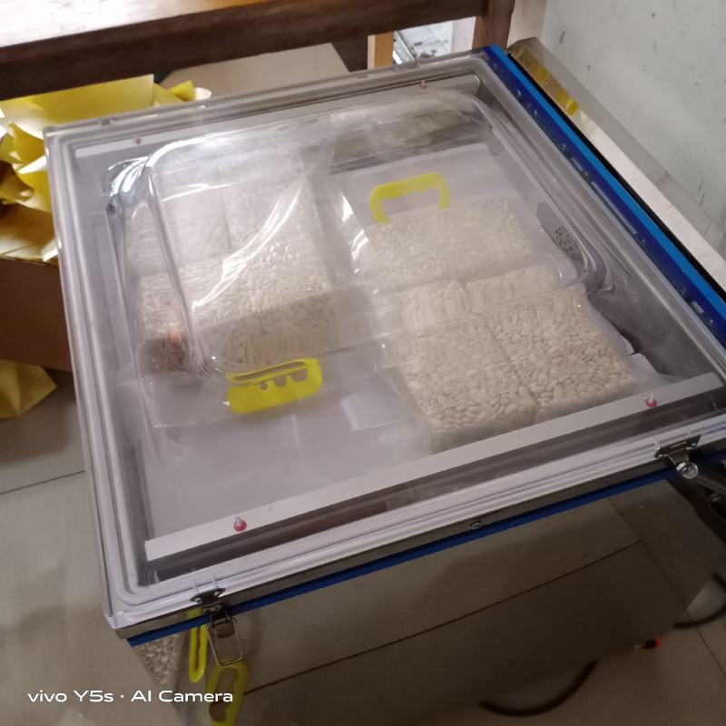 白金豆白玉豆白色豆子