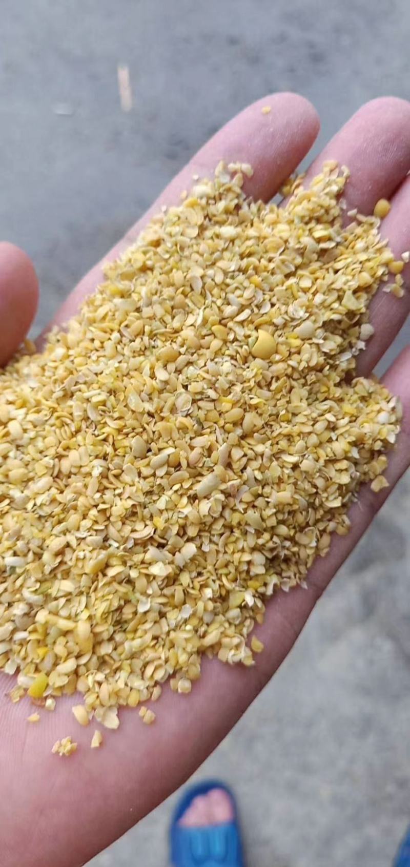 黄豆壳蛋白含量高脂肪高本公司常年出售