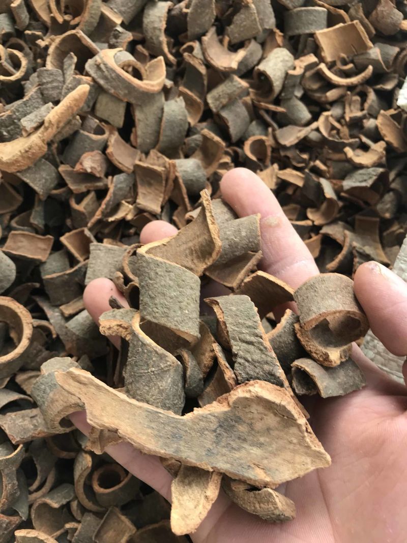桂皮产地直销可打粉
