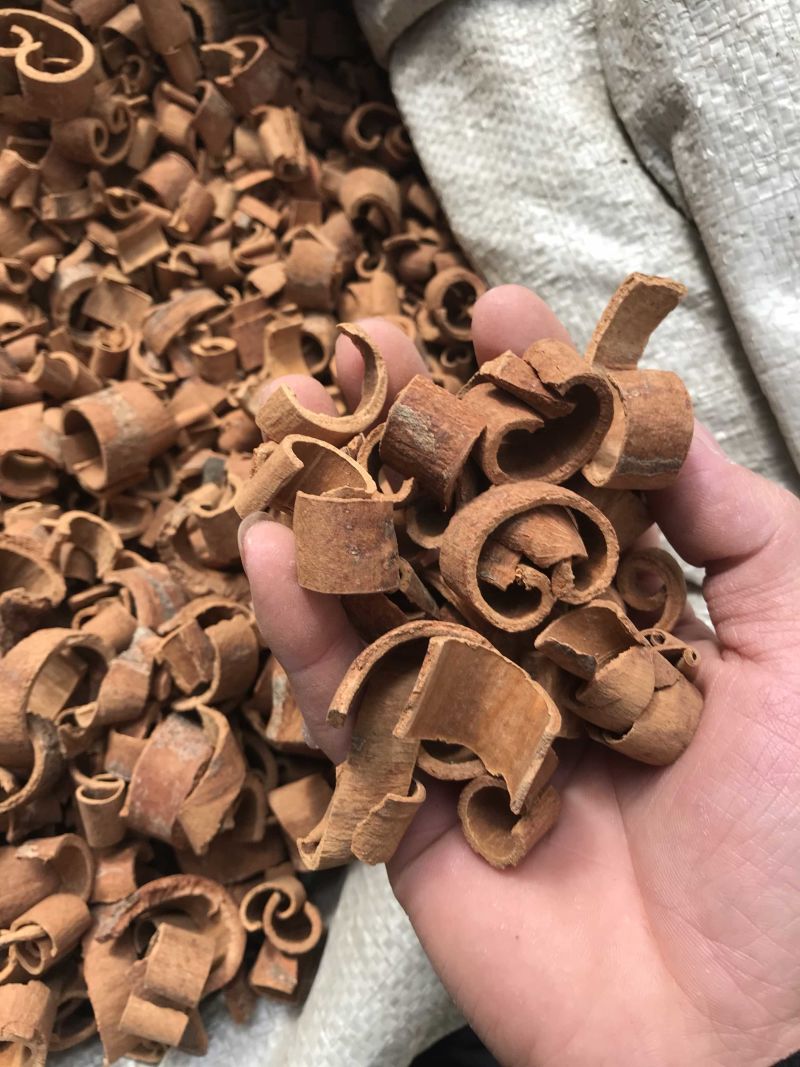 桂皮产地直销可打粉
