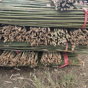 竹子新货上市，需要的赶紧下单
