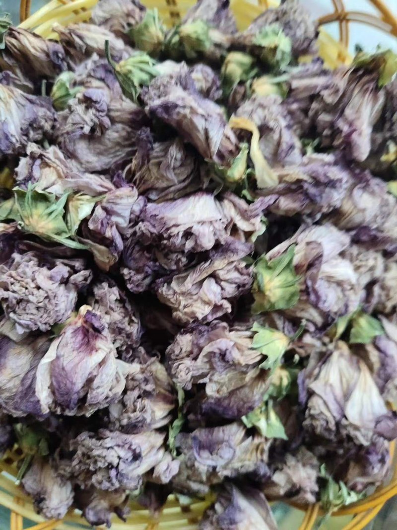 自家种植，质量有保障。《包邮》福建木槿花晒干的