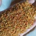 蜜蜂奶粉，花粉，木本茶花粉，***，无杂质，无粉末，
