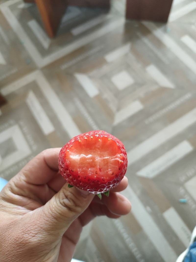 丹东红颜草莓万亩生态园代收采摘市场包装微商电商一件代发