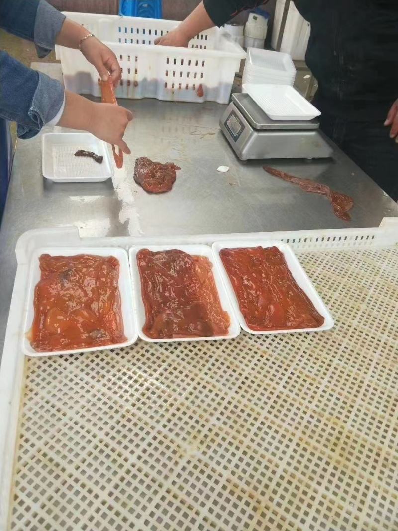 海肠新鲜海肠即食新鲜海鲜水产鲜活海肠皮