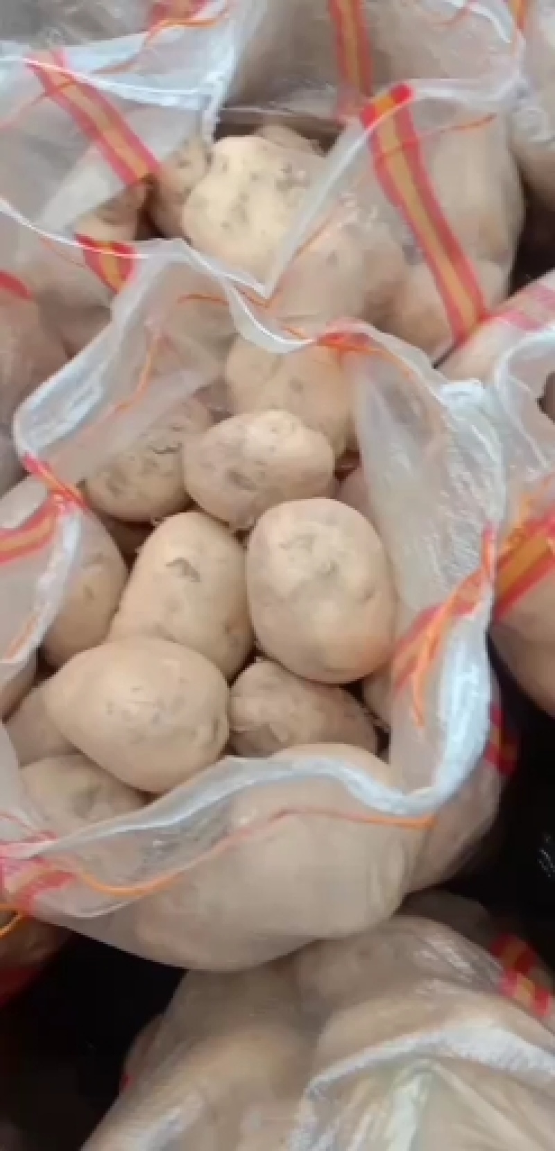 大量批发土豆有要的老板联系