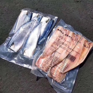出口日本的鲐鲅鱼已经用盐腌好了带一点咸味
