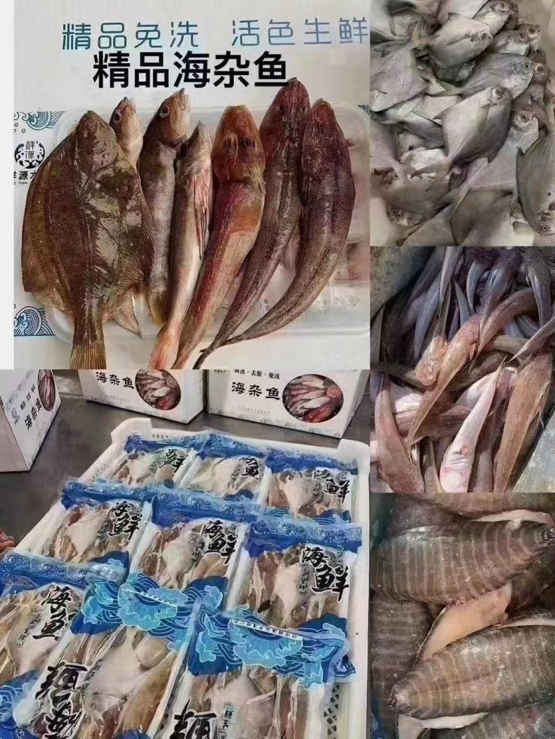辽宁东港免洗海杂鱼，食材新鲜！